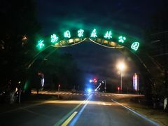 -黄海国家森林公园