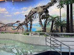 -延庆地质公园博物馆