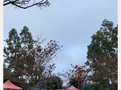 -白沙门生态公园