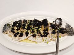 -五棵树•粤西高凉菜(琶洲店)