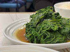 -海金滋(陕西南路店)
