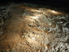 -世界恐龙谷景区