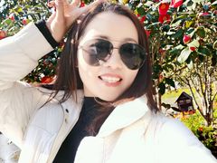 -鹅湖玫瑰文化园