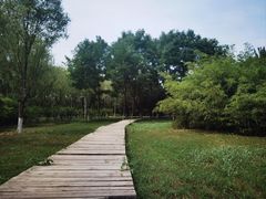 -西安浐灞国家湿地公园