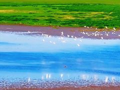 -鄱阳湖国家湿地公园