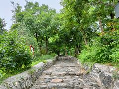 -阳台山自然风景区