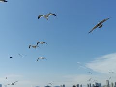 -星海广场