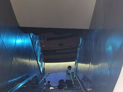 -陕西自然博物馆