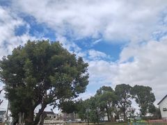 -乡乐园蟹庄·阳澄湖农家乐