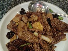 -四季厨房 鲁菜·孔府烤鸭(高新万达店)