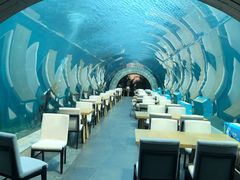 -海棠湾洲际-涛·海底餐厅·美人鱼·自助餐·海底隧道