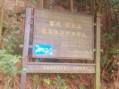 -缙云山景区