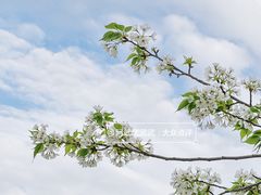 -国际非物质文化遗产博览园