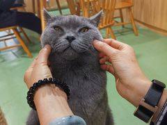 -藦茜花园宠物主题亲子互动体验馆(国顺东路店)