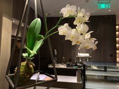 -北京三里屯CHAO酒店