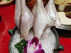 -谭鸭血老火锅(七宝万科广场店)