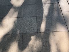 -西园寺素食(西园弄戒幢律寺店)