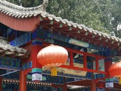 -中卫御苑福膳·养生局(圆明园店)