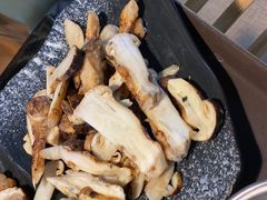 -蘑统田下·野生菌火锅