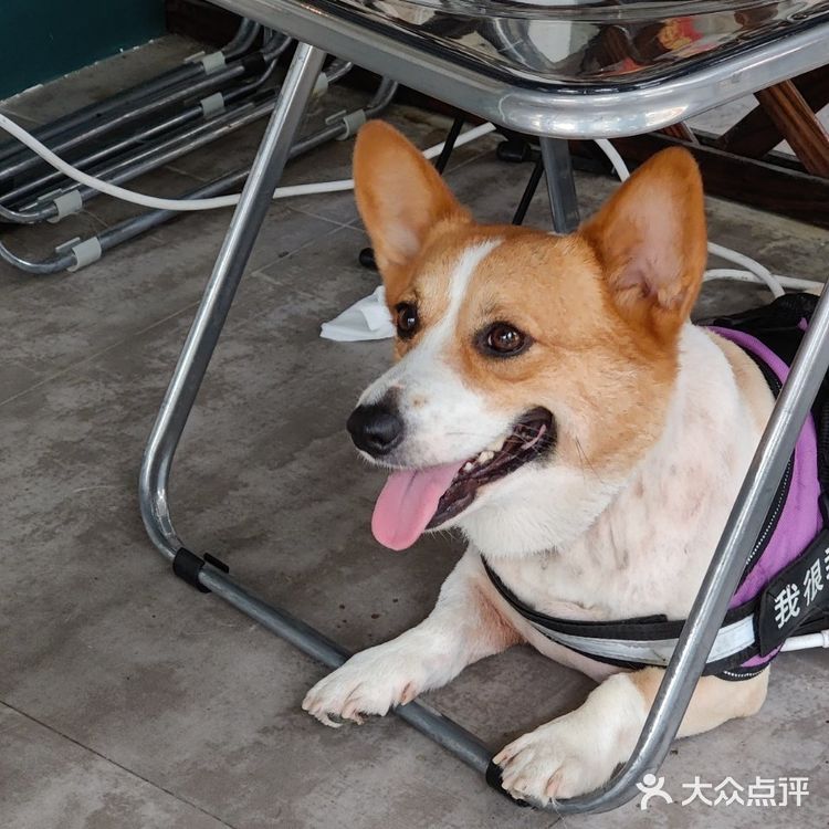 南宁探店 | 藏在巷子深处的宝藏轻食店