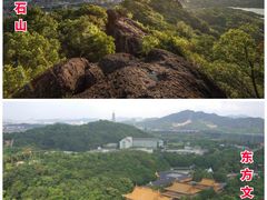 -龙坞茶村