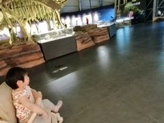-辽宁古生物博物馆