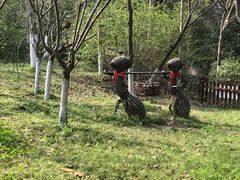 -天目湖山水园