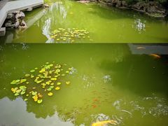 -嘉定博物馆