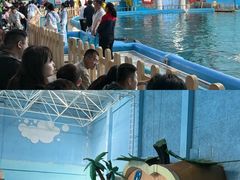 -蓬莱欧乐堡海洋极地世界