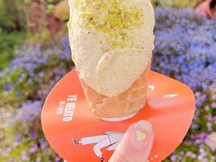 -野人先生现做冰淇淋(北京顺义祥云小镇店)