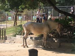 -泉州海丝野生动物世界