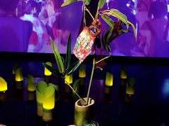 甜品-地球美食剧场