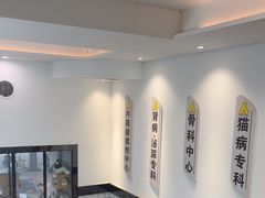 -半岛宠物医院24小时(科华中路店)