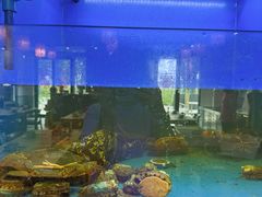 -阿尔法海鲜排档(爱琴海店)