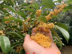 -敬亭山风景名胜区