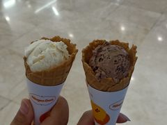 -哈根达斯(石家庄北国店)