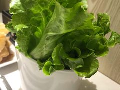 -古乐牛香·鲜牛肉牛杂火锅(新区店)