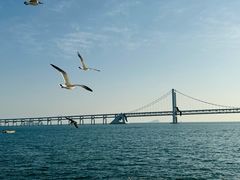 -星海广场