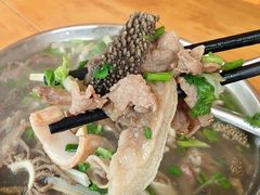 -周记翘脚牛肉
