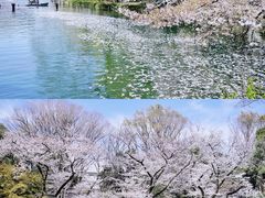 -井之头恩赐公园