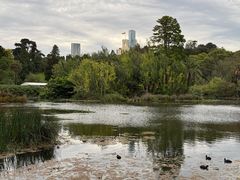 -墨尔本皇家植物园