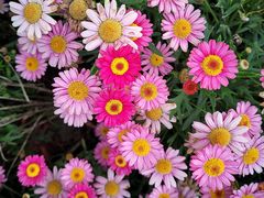 -上海山野camping·户外天幕烧烤·团建拓展营地