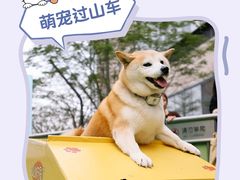 -东莞松山湖万象汇