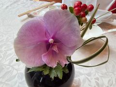 -香乐园·淮扬菜中餐厅·Shang Garden(福田香格里拉店)