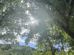 -抱犊寨风景区
