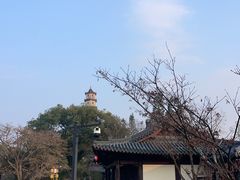 -江心屿景区