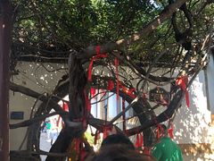 -牟氏庄园