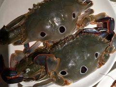 -餐海·海鲜自助餐厅(宝龙广场店)