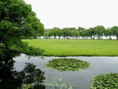 -柳浪闻莺公园