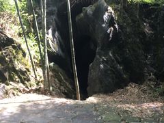 -九龙江国家森林公园